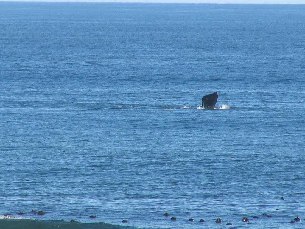Bella Vista Onrus Villa Hermanus Luaran gambar